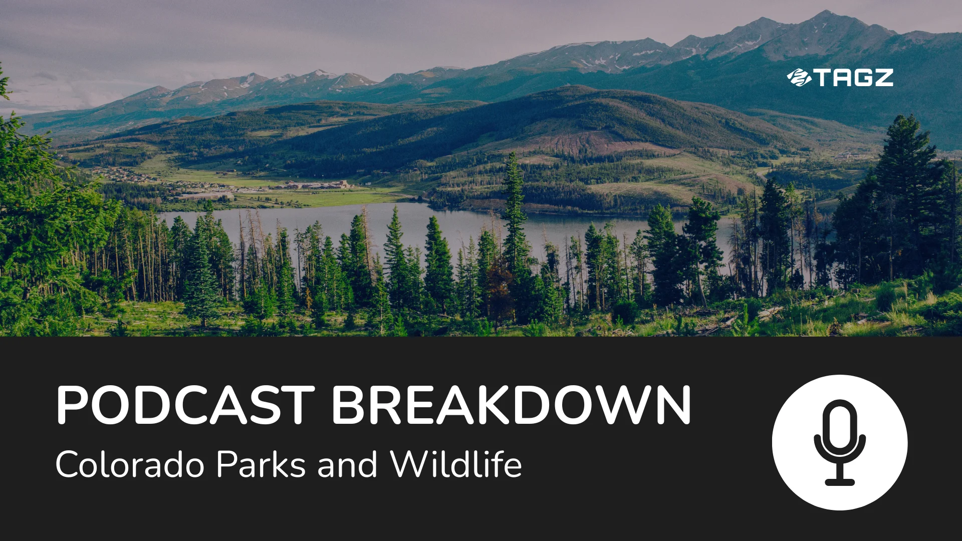 Key Takeaways from CPW Podcast with Andy Holland